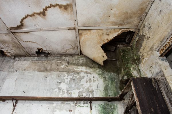 Water Damage Service in Leander