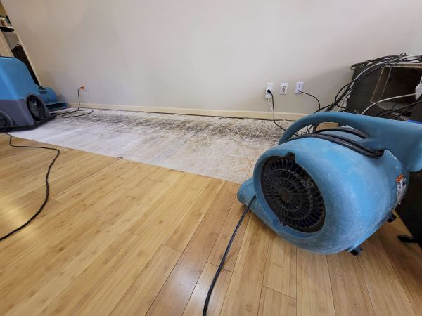 Water Damage Mitigation in Leander