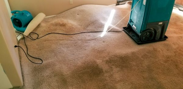 Flood Damage Cleanup in Leander