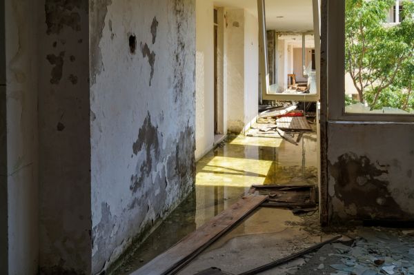 Water Removal Service in Leander
