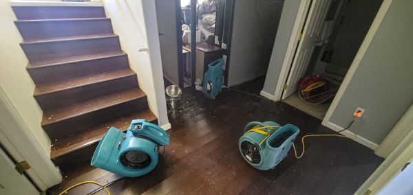 Water Damage Remediation in Leander