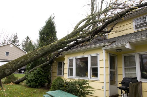 Hurricane Damage Repair in Leander